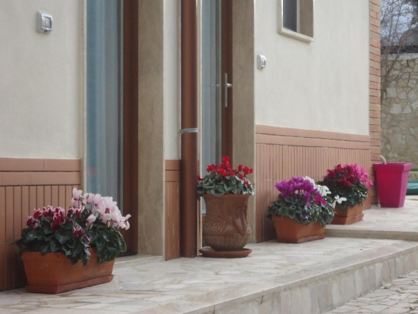 Villa Dafne image 25